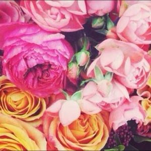 Meet your Posher, Rachel